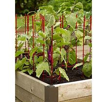 Gardener's Supply Company Pepper And Eggplant Support Stakes | Vegetable Garden Support Cages | Set Of 3 - Red