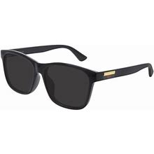 Calvin Klein Sunglasses CK20116S 717 Shiny Gold/Soft Tortoise 51mm Unisex Gold