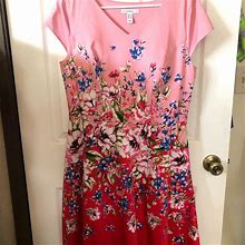 Isaac Mizrahi Dresses | Isaac Mizrahi Floral Print Fit Flare Dress Size 10 Nwot | Color: Pink/Red | Size: 10