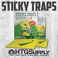 YELLOW STICKY TRAPS FOR APHID WHITEFLY THRIPS & MORE, NEW XL SIZE! 10 50 100 Pc