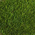 Belle Verde Capistrano - 1X15 54Oz. Lawn Turf