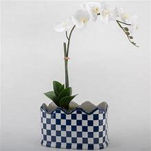 Danny's Fine Porcelain Handmade Ceramic Pot Planter - Planters In Blue/White | Size 7.0 H X 12.0 W X 8.5 D In | P100351225 | Perigold
