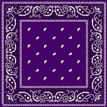 Purple Paisley Bandana