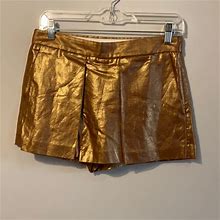 J. Crew Shorts | Beautiful Metallic Skort | Color: Brown | Size: 0