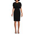 Calvin Klein Women's Sheer Blouson Sheath Dress - Black - Size 2