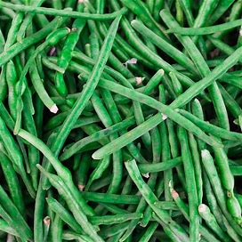 Seeds: Jade Bush Bean (Treated) -1 Lb- Heirloom Garden -Green Bean - Buy Non-GMO Phaseolus Vulgaris Farm & Gardening Seeds Online