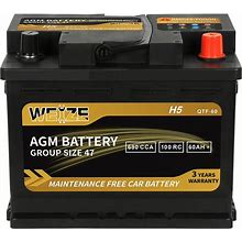 Weize Platinum AGM Battery BCI Group 47-12V 60Ah H5 Size 47 Automotive Battery, 100RC, 680CCA, 36 Months Warranty