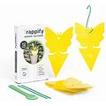 Trappify Sticky Gnat Traps For House Indoor - Yellow Fruit Fly Traps For Indoors/Outdoor Plant - Insect Catcher White Flies, Mosquitos, Fungus Gnat Trap, Flying Insects - Disposable Glue Trapper (12)