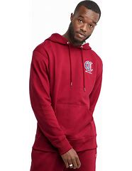 Image result for Champion Tossed Logo Hoodie