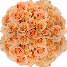 100 Stems Of Parissiene Roses- Fresh Flower Delivery