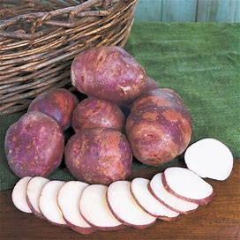 Purple Viking Potato - 4 Lbs Of Whole Potatoes