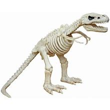 Tyrannosaurus Rex Dinosaur Skeleton Halloween Prop Bones Prehistoric