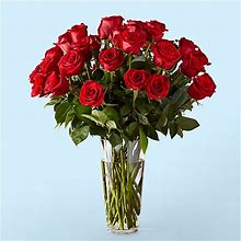Proflowers | Flower Delivery | Long Stem Red Rose Bouquet | Rose | Red