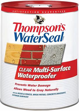 Thompson's Waterseal Multi-Surface Waterproofer Wood Finish, Clear, 5