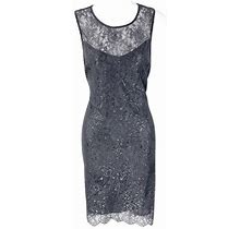 Velvet By Graham & Spencer Dresses | Velvet By Graham & Spencer Gray Lace Metallic Sheath Dress Mm1 | Color: Gray | Size: S