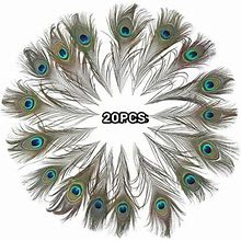Trianu 20 Pcs Natural Peacock Feathers Bulk 10-12 Inch For DIY Craft, Wedding Holiday Decorationn And Floral Arrangement