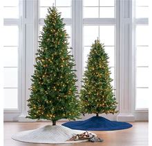 Douglas Fir Slim Profile Tree - 7-1/2 ft. - Frontgate - Christmas Tree