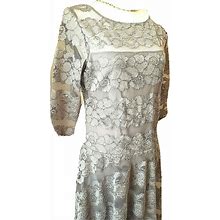 NWT Chaya Womens Silver Graphite Lace Dress Sheath A Line 3/4 Sleeve Lined 12 P