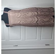 R&M Richards Dresses | R&M Richard's Petite Beige Sleeveless Lace Shift Dress Size 6 | Color: Tan | Size: 6