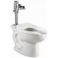 American Standard 3451.660 Madera Elongated One-Piece Toilet - White