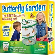 Insect Lore Original Butterfly Garden® Growing Kit