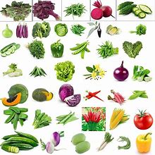 45 Vegetables Seeds For Gardening Organic And Hybrid Seeds Easy To Grow Seeds