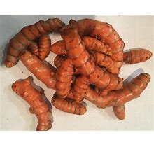 Fresh Organic Turmeric Root - 2 Lb Whole Raw Root By Fijian Spice Company
