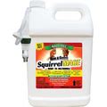 Nature S MACE Squirrel MACE | 1 Gallon Ready-To-Use Spray Treats 5 600 Sq.Ft | Squirrel Repellent And Anti-Chew Spray