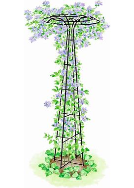 Gardener's Supply Company Essex Trellis For Climbing Plants Outdoor | Sturdy Upright Garden Trellis For Vines, Tomatoes, Peas & Other Live Plants