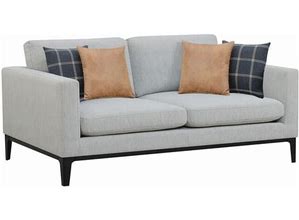 Coaster Furniture Apperson Light Gray Sofa - Gray 508681 Transitional Style, Fabric Material