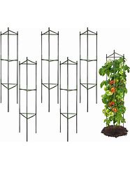 Image result for Tomato Cage Lighthouse