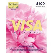 Visa $100 Gift Card (Plus $6.95 Purchase Fee)