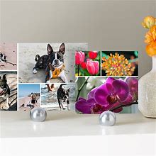 Collage Square Photo Prints, 4X4, Glossy, By Snapfish