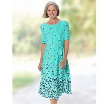 Appleseeds Women's Border Floral Knit Dress - Blue - 12P - Petite