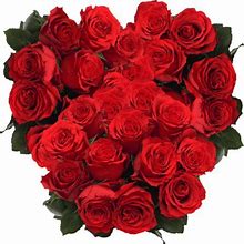 100 Stems Of Undercover Red Roses- Fresh Flower Delivery