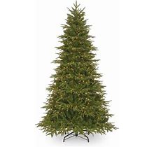 Kelly Clarkson Home 7.5' Green Artificial Christmas Tree W/ 800 Clear/White Lights | Size 90 | J001344650_1347725702 | Joss & Main
