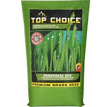 Top Choice Perennial Rye Grass Seed, 10-Pound