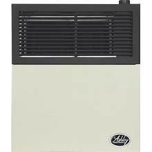 Ashley Hearth Direct Vent LP Wall Heater With Venting - 11,000 BTU, Model