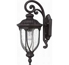 Acclaim Lighting 2212 Laurens 1 Light Outdoor Lantern Wall Sconce With Seedy Glass Shade Black Coral Outdoor Lighting Wall Sconces