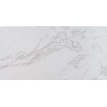 MSI Pavia Carrara 12 in. X 24 in. Polished Porcelain Floor And Wall Tile (16 Sq. Ft. / Case)
