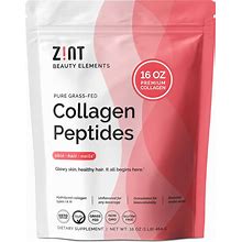 Zint Collagen Peptides Powder: Paleo & Keto Certified - Granulated Collagen Hydrolysate Types I & III For Enhanced Absorption - Enzymatically