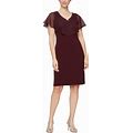 Sl Fashions Sheer-Overlay Sheath Dress - Fig - Size 16