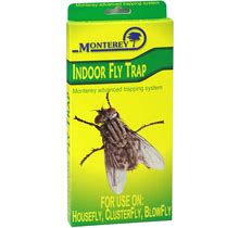 Monterey Indoor Fly Trap (4 Pack)