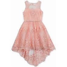 Rare Editions Big Girl's Lace Illusion Dress Pink Size 12
