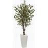 6 ft. Olive Artificial Tree In White Tower Planter