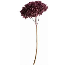 Vickerman Natural Botanicals 15 Hydrangea With Multiple Branch Segments, Purple Orchid, Artificial Plants