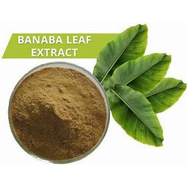 Banaba Leaf Extract Lagerstroemia Speciosa Extract 2% Corosolic Acid