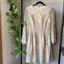Eliza J Ivy Lace Dress With Bell Sleeves And Pockets Size 2