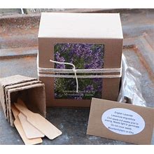 Lavender Garden Seed Kit, English Lavender Seeds And Garden Supplies, Great Gift For Gardener