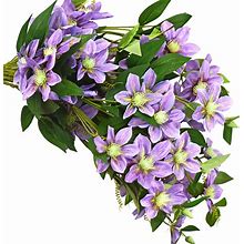 Fiveseasonstuff 6 Stems Artificial Silk Purple Clematis Fall Garland Greenery (Clematis Flower Garland)